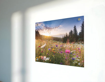 Meadow Bliss – A Wildflower Meadow Scene with Dreamy Ambiance