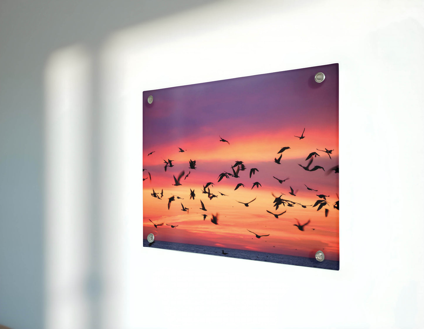 Birds- Twilight Flight - A Breathtaking Sunset, A Moment of Freedom – Captured Forever