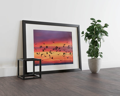 Birds- Twilight Flight - A Breathtaking Sunset, A Moment of Freedom – Captured Forever