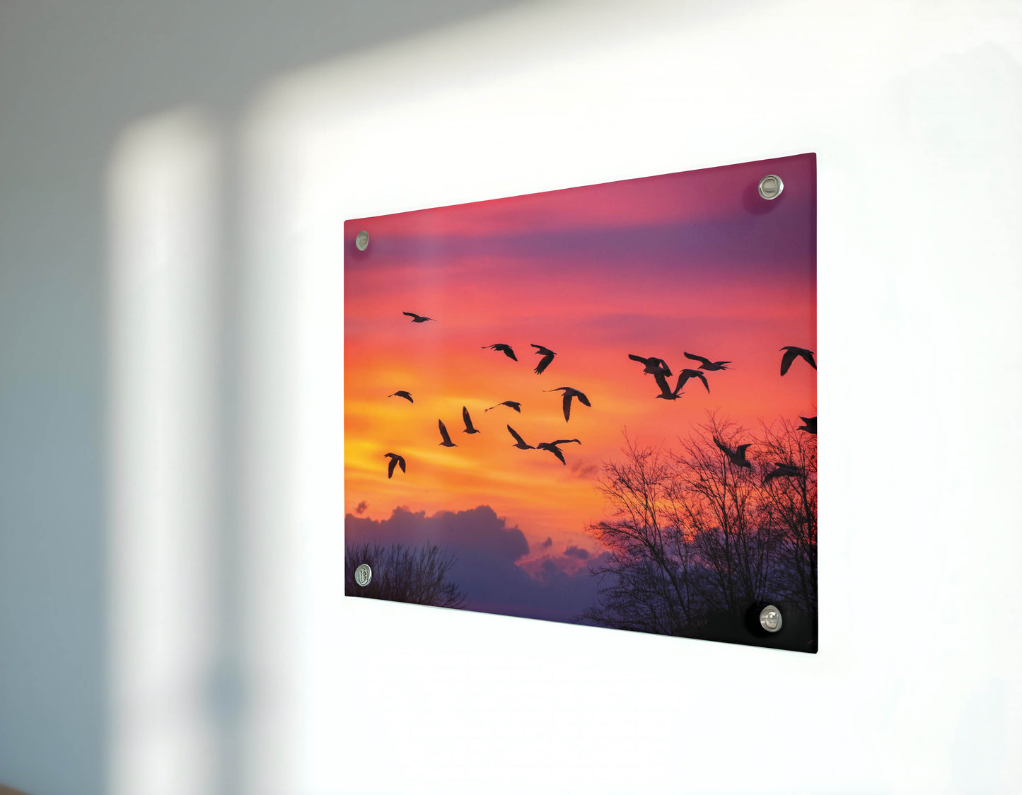 Birds- Twilight Tango