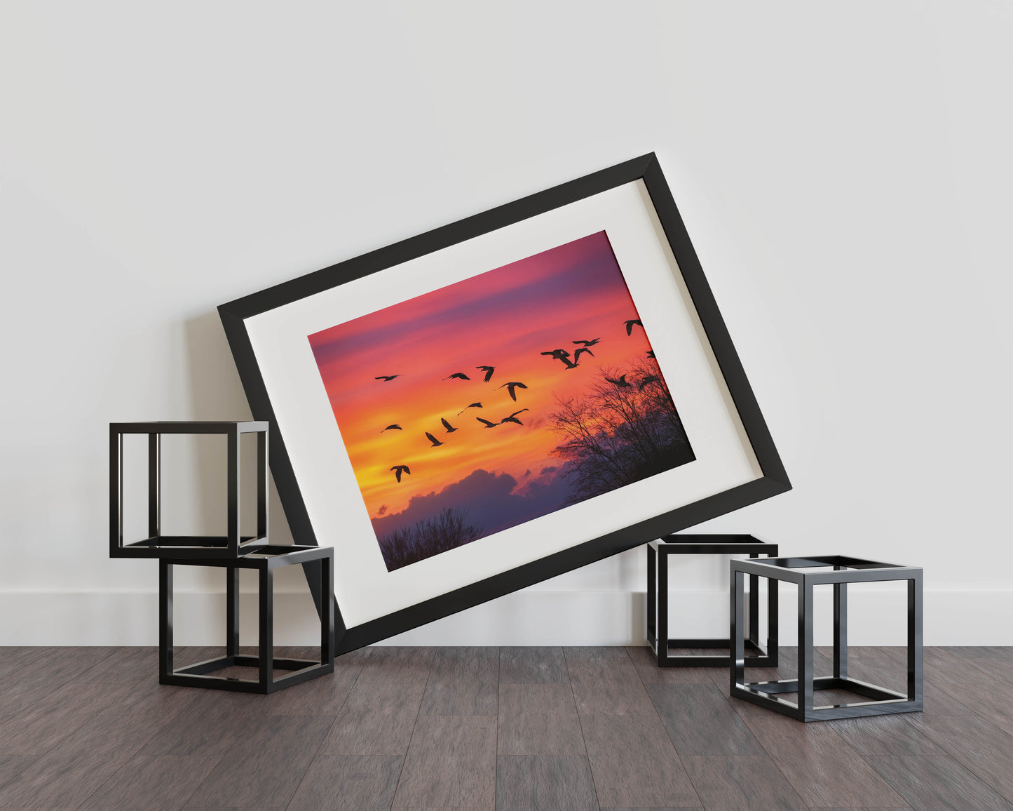 Birds- Twilight Tango