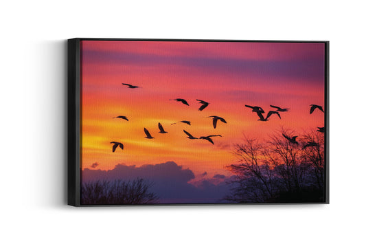 Birds- Twilight Tango