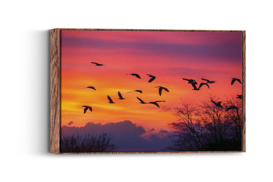 Birds- Twilight Tango