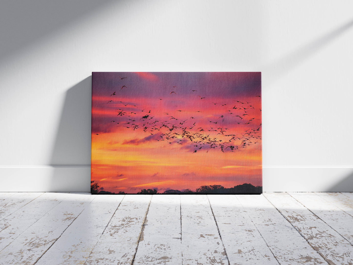 Birds- Sunset Symphony