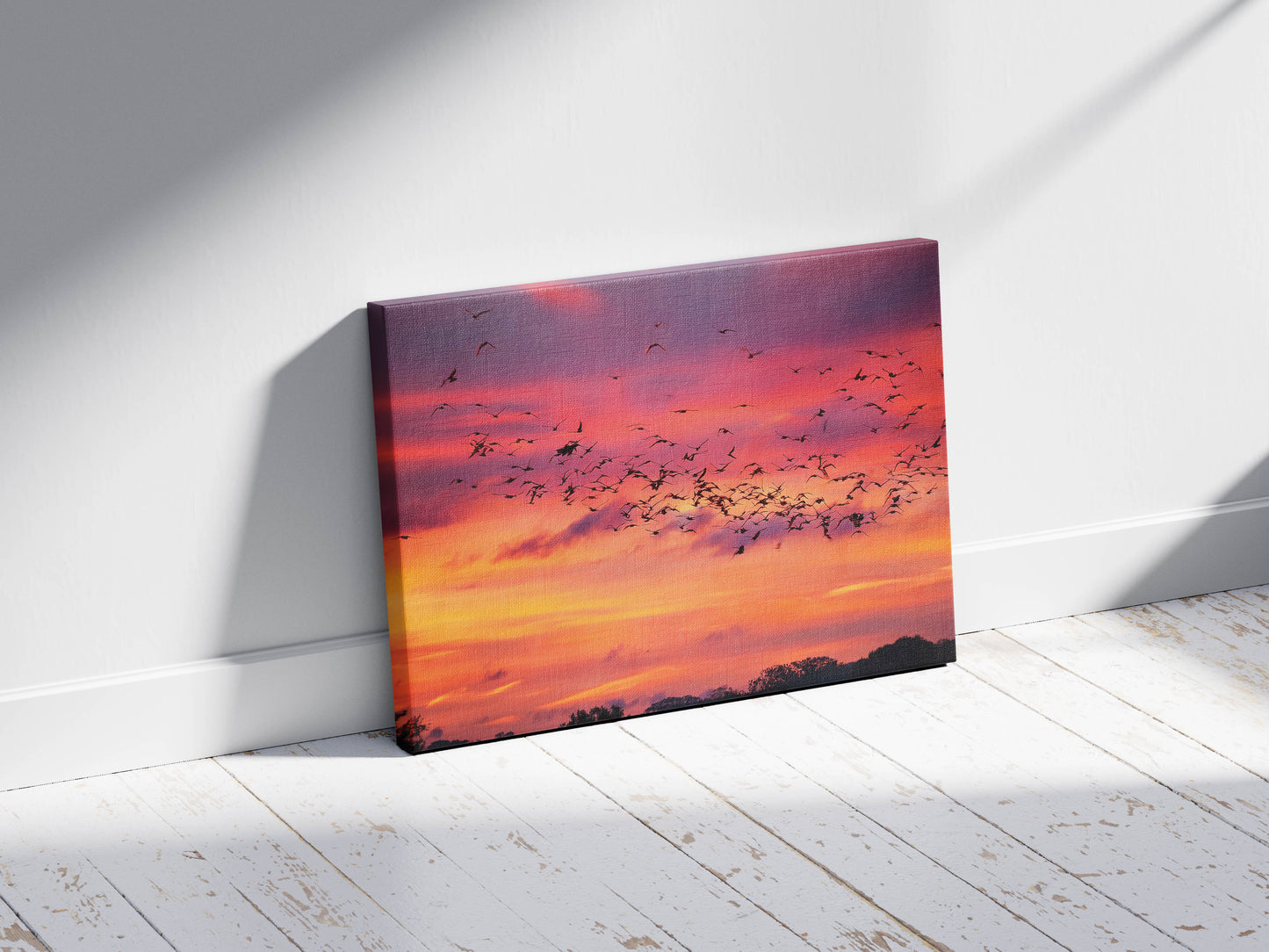 Birds- Sunset Symphony