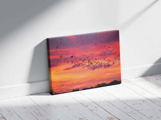 Birds- Sunset Symphony