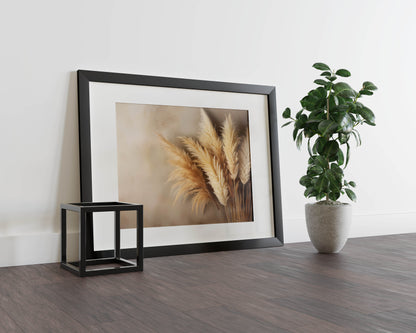 Pampas - Whispering Wilderness Dried Pampas Grass - Warm Beige Tones Against a Neutral Textured Backdrop