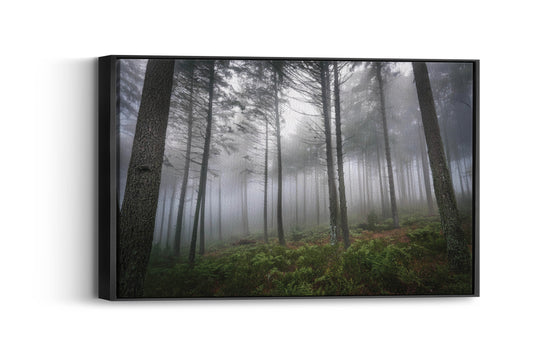 Whispering Pines- Adventure