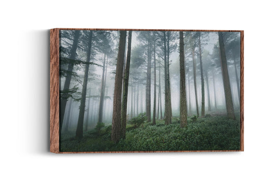 Whispering Pines-Serene Forest Escape