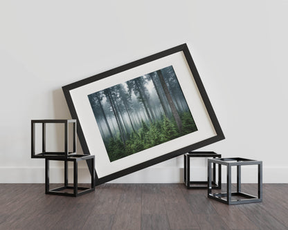 Whispering Pines- Enchanted Forest Escape