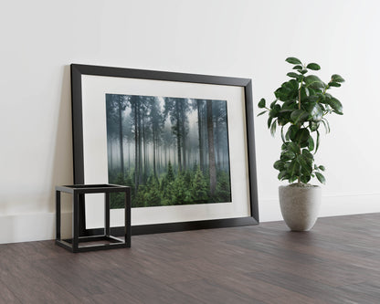 Whispering Pines- Enchanted Forest Escape