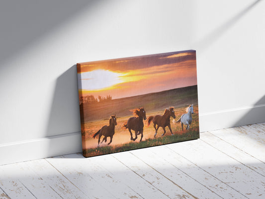Handsome Horses- Sunset Gallop Symphony
