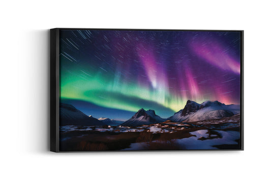 Artic Adventure- Nightly Dazzle