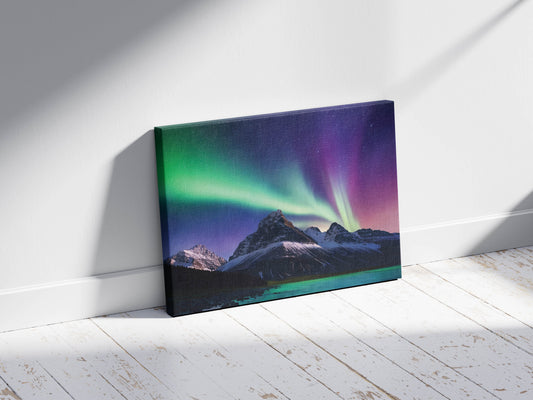 Artic Adventure- Night Dance