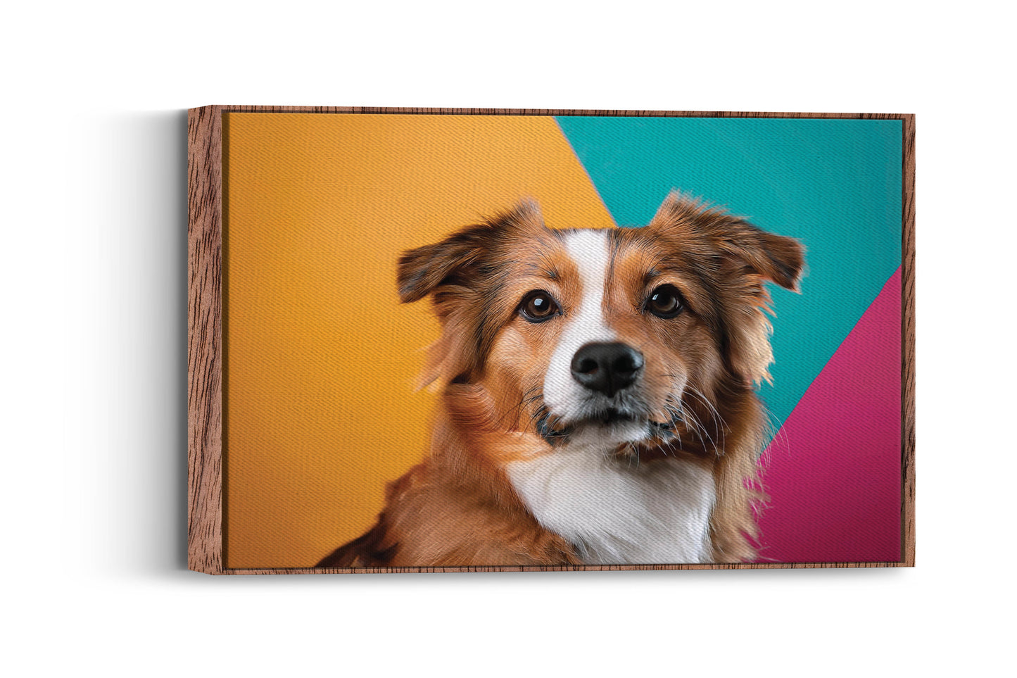 Pretty Pets- Paws of Wonder