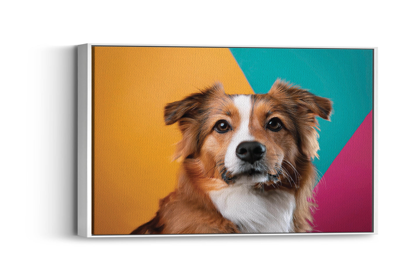 Pretty Pets- Paws of Wonder