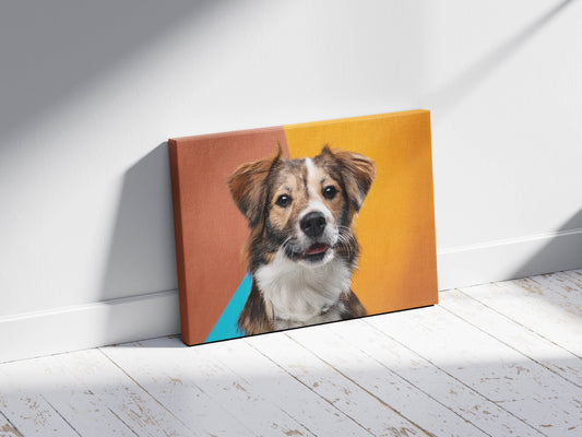 Pretty Pets- Paws of Adventure