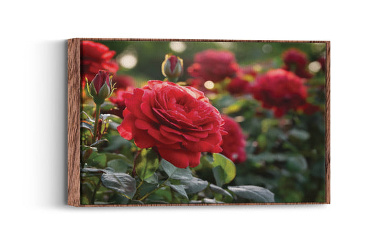 Blooms of Wonderland- Vibrant Crimson Adventure