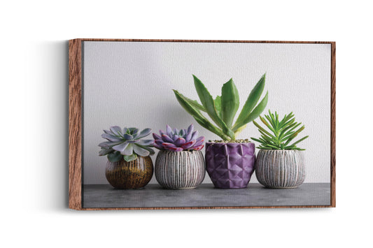 Succulent Symphony- Potted Perfection