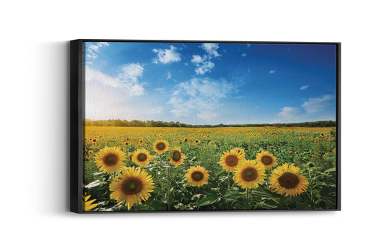 Sunflower Symphony- A Dance of Blooms