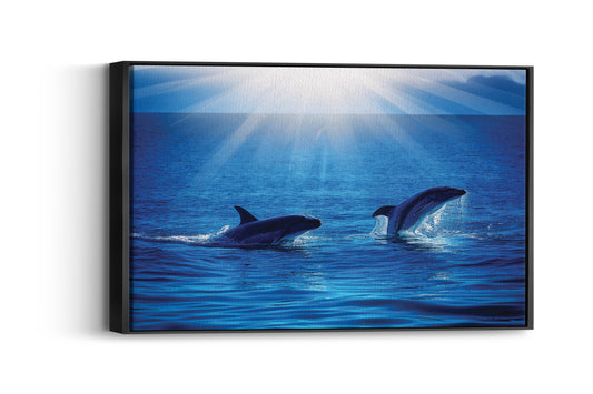 Ocean Odyssey- Dolphin Dance Delight
