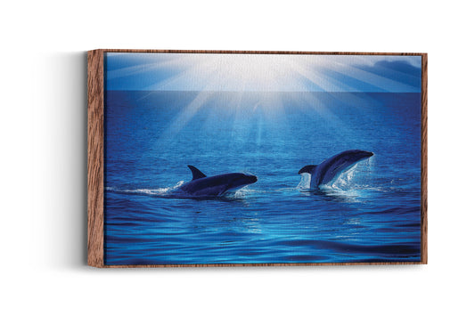 Ocean Odyssey- Dolphin Dance Delight