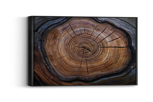 Timber Tales- Echoes of the Wild